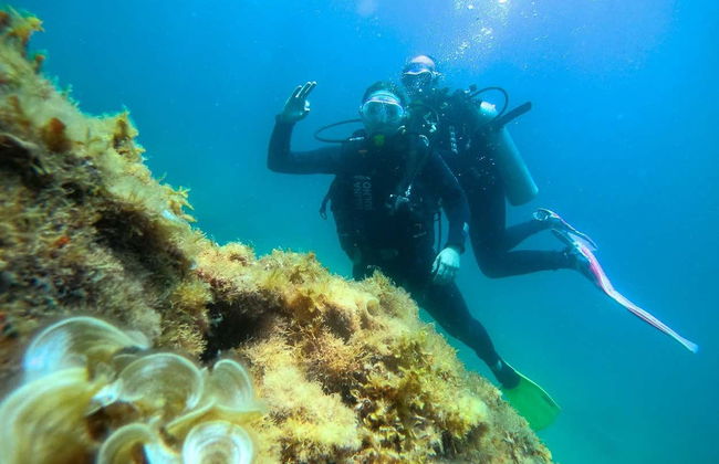 Bautismo de buceo en Paraty - Foto 3