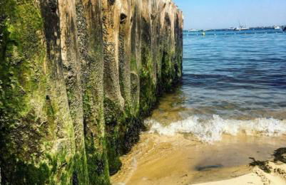 Appartement cosy village de L'Herbe - Foto 18