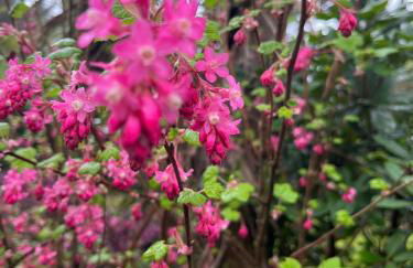 Lovely Carlung House - Foto 73