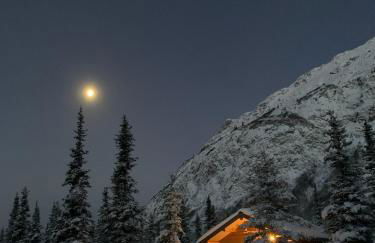 Little Bear Getaway Cabins - Foto 28