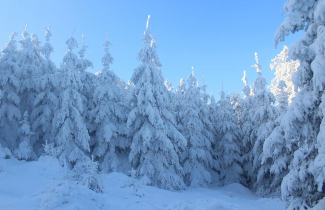 Aspen Springs Angel fire - Foto 52