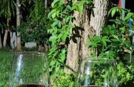 Quinta da Pedra do Elefante - Foto 5