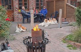 Gästehaus Peerhus Dönsel - buern - Foto 13