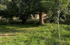 Kuschliger Schäferwagen auf Wiese autark - Foto 7