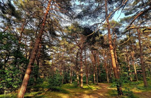 Duna Verde, Duna Marina - Foto 55