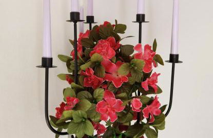 Ländliche Idylle in Hochfranken - Foto 15