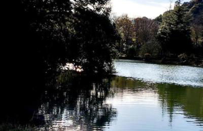 PequeñoCabárceno - Foto 68