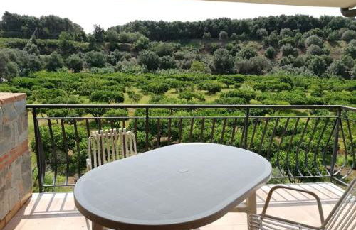 L' Agrumeto - Photo 30