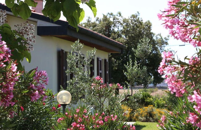 Agriturismo gli Etruschi - Foto 66