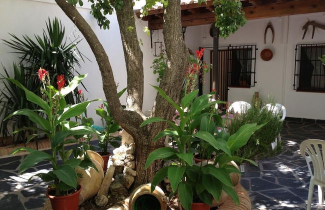 Casa Rural el Rincon del Infante - Foto 26