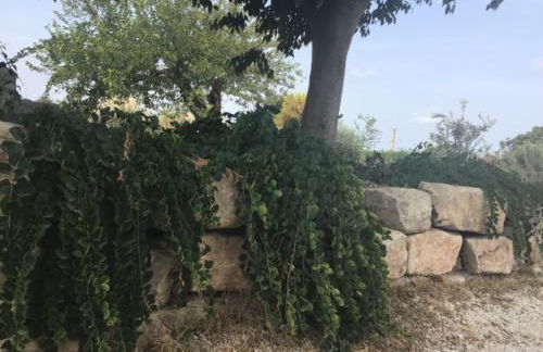 Porta dei Mari - Foto 8