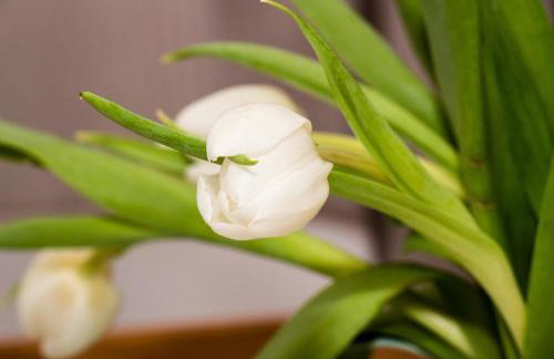 Apartment One - Foto 43