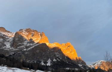 The Grey Lodge at Bosco Verde - Photo 46