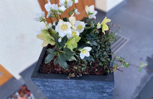 Fewo Rheinwein 1 "ausgezeichnet zum wandern und radfahren" mit Wallbox - Foto 24