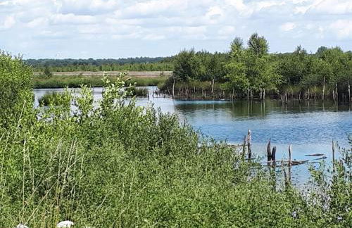 Haus am Moor - Foto 33