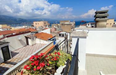 L'OLIVA CONTESA - la NERA - Foto 33