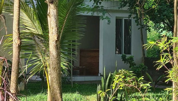 Silent Palms - Foto 3, Recepción