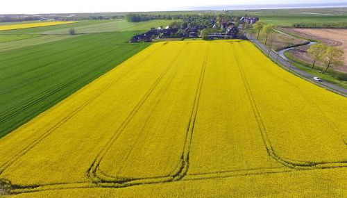 Ferienwohnung Waterkant - Foto 2