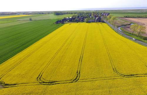 Ferienwohnung Waterkant - Foto 2