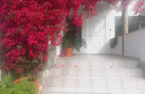 Casa Rua dos Loureiros - Foto 14