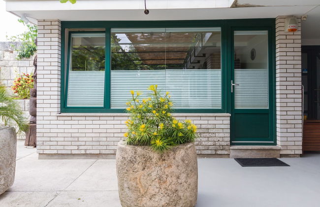 Apartments Kolenc - Foto 49