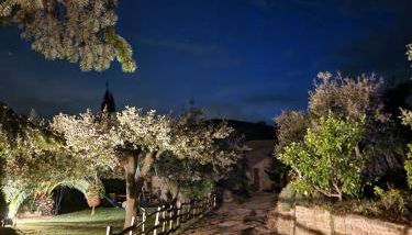 El Racó dels Mussols 1 - Photo 3, Lobby or reception