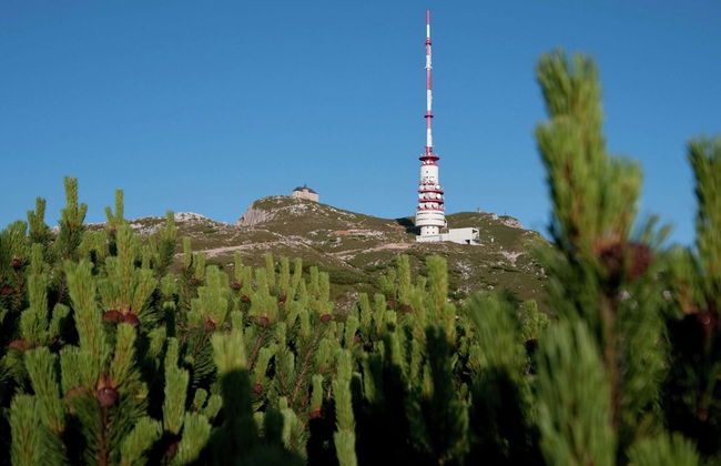 Cozy Holiday Home in Finkenstein near Lake - Foto 35