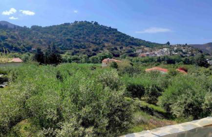 Litinos Villas - Foto 5