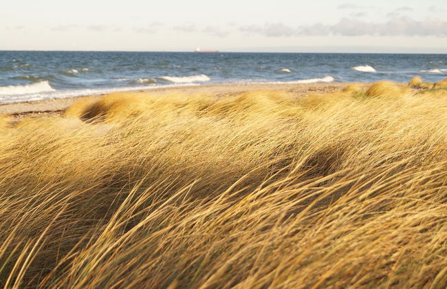 Strandleben Fehmarn - Ferienhaus 1 - Photo 19
