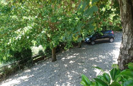 La Sassaia - Foto 10