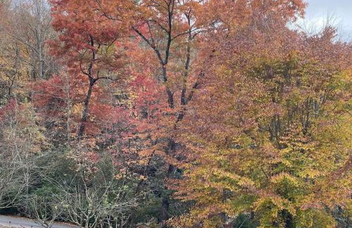 Beech Creek Cabin, lower unit, Black Mountain - Foto 39