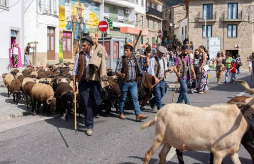 Casa da Vila - Apartamento rés chão - Foto 41