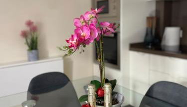 Apartamento Rincon de Adam - Foto 3