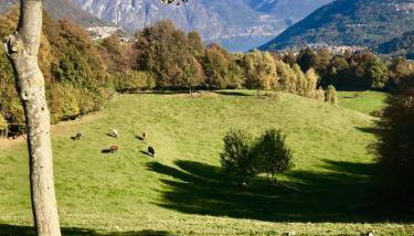 Agriturismo Baita Bavè - Foto 2