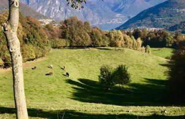 Agriturismo Baita Bavè - Foto 2