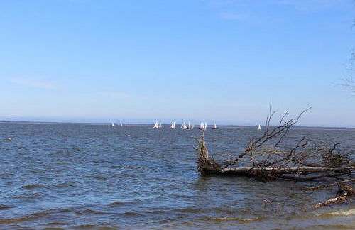 Haus Boddensonne - Foto 5