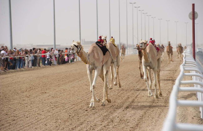 Zekreet Private Trip - Photo 3