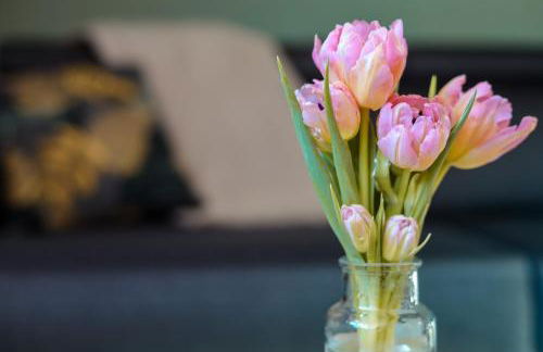 Ferienwohnung hinter der Krämerbrücke - Foto 30