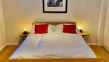 Urlaub mit Hund im Ferienhaus am Wingster Wald - Foto 4