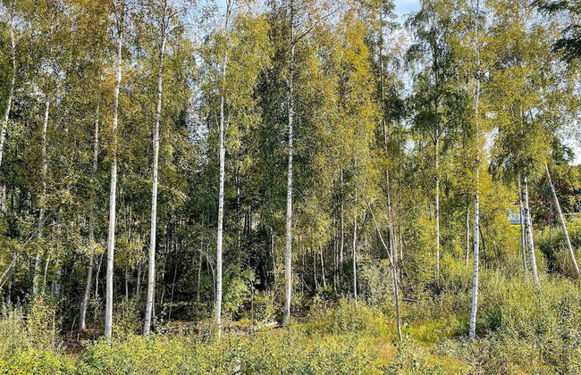 4 Person Holiday Home in Bengtsfors-by Traum - Photo 8