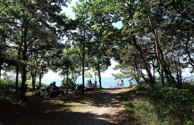 4 Person Holiday Home in Ronne - Foto 3