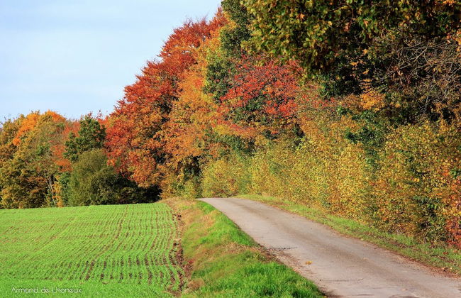 Winenne Home With Hot Tub - Foto 36