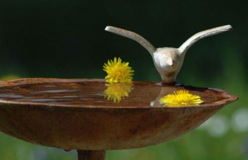 Ferienhaus Nest - Foto 27