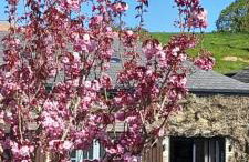 Wisteria Barn, Trewethen, Nr Port Isaac - Foto 25