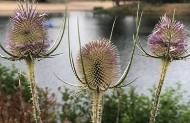 Ferienwohnung Tillmanns - Foto 31