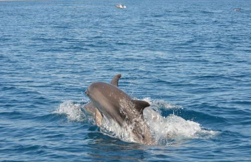 Villa María - Photo 6