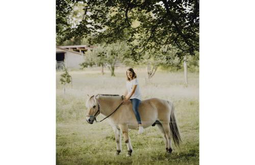 Ferienwohnung Schaible - Foto 15