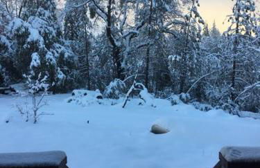 Uncle Grizz's Cabin...get intouch with nature - Foto 23