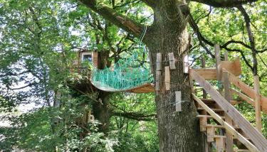 Le nid dans le chêne - Photo 3