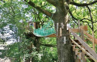 Le nid dans le chêne - Photo 3